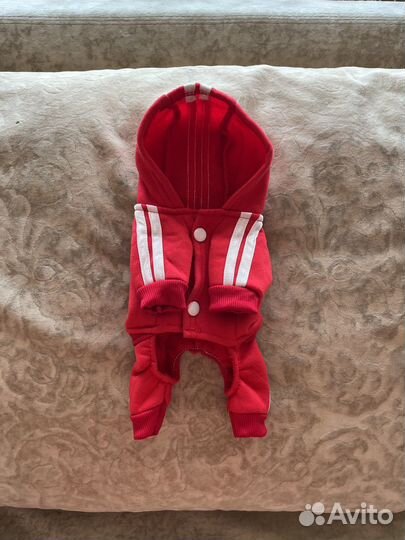 Комбинезон на флисе для собаки xs