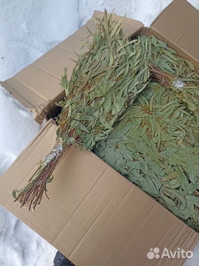 Веники для бани сауны парные