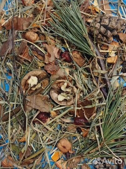 Корм игрушка для попугаев