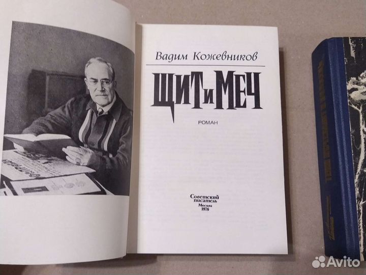 Щит и меч. Тени исчезают в полдень