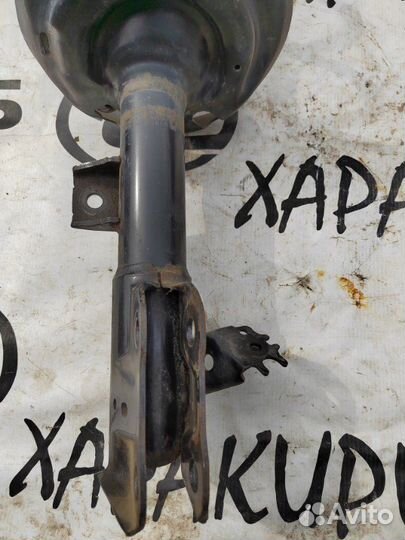 Амортизатор передний Toyota Rav4 axaa52 2019-Н.в