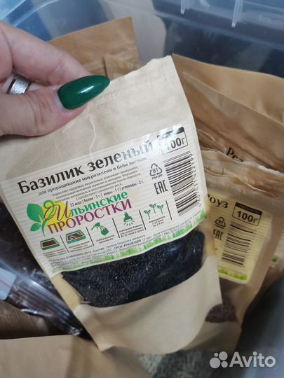 Продаю семена микрозелени