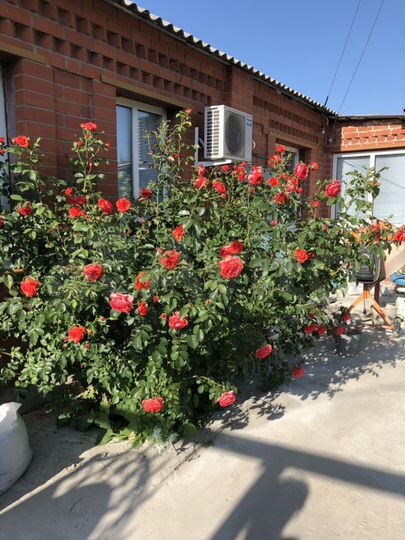 Дом 102 м² на участке 22 сот.