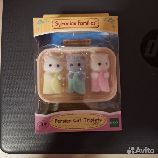 Selvanian families персидские котята тройняшки