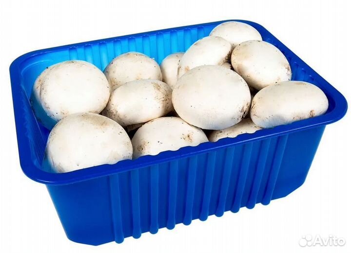 Упаковщик грибов вахта в Москве с питанием