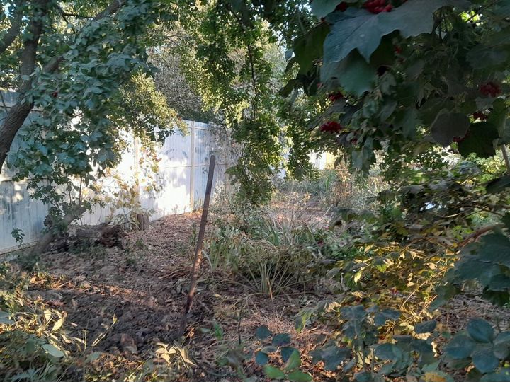 Участок 9 сот. (ИЖС)