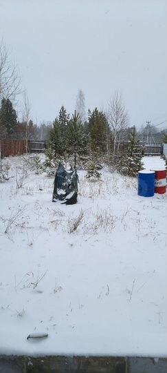 Участок 19,8 сот. (ИЖС)