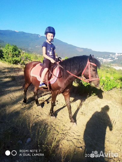 Прогулки на пони в Ялте Обучение В.Е