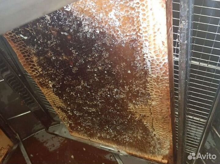 Мёд майский, рапс + весь первоцвет урожай 2023 г