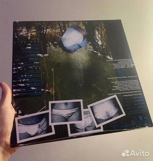 The Jesus Lizard – Blue