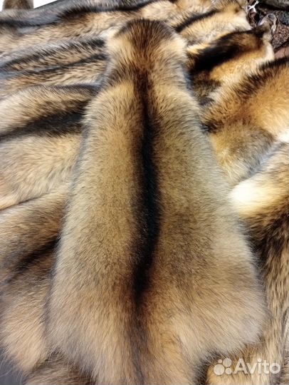 Шкурки енотовидной собаки