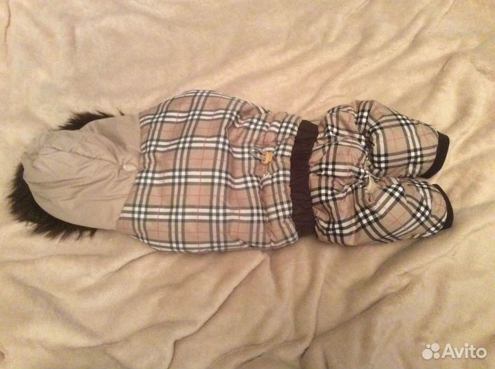 Комбинезон для маленькой собаки