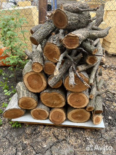 Дрова абрикос