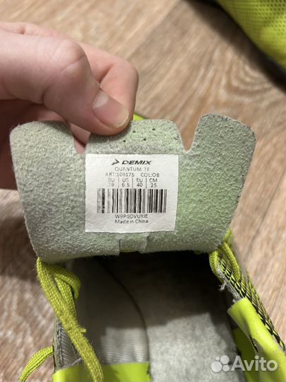 Сороконожки