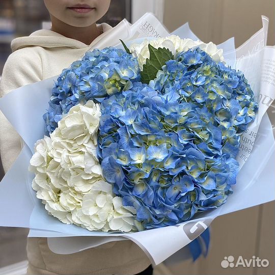 Гортензия Букет из 5 гортензий