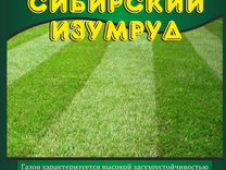 Семена газонной травы Сибирский Изумруд, 3,5 кг