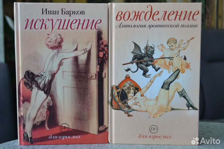 Поэзия В.Высоцкий, И.Барков, Гребенщиков, Ахматова