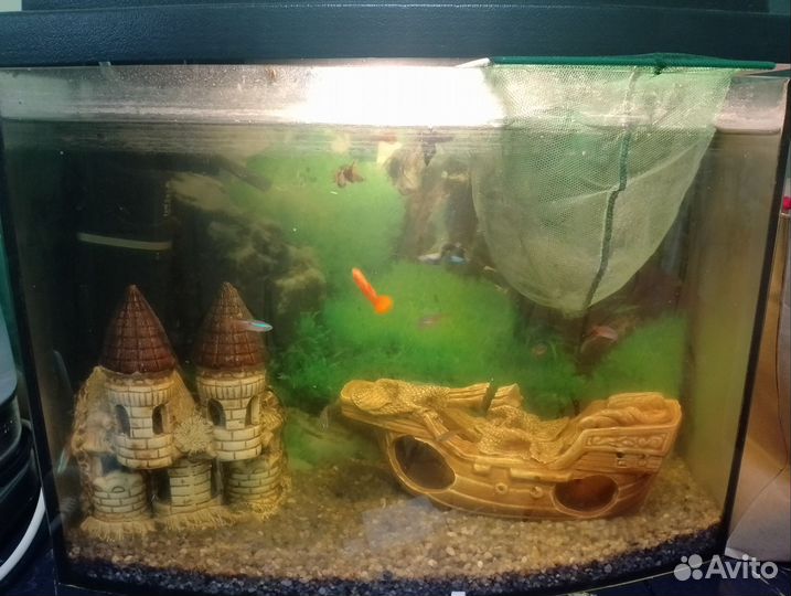 Аквариум 20 литров с рыбками и всё что в нем