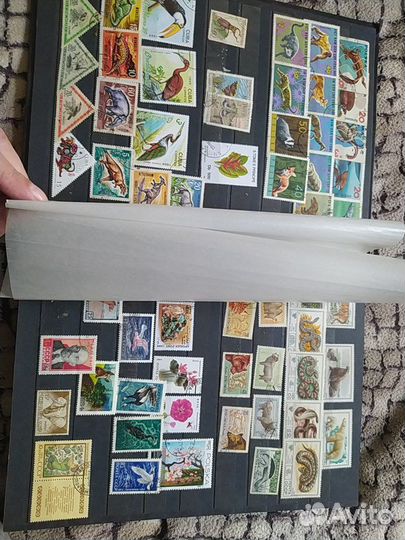 Альбом с почтовыми марками