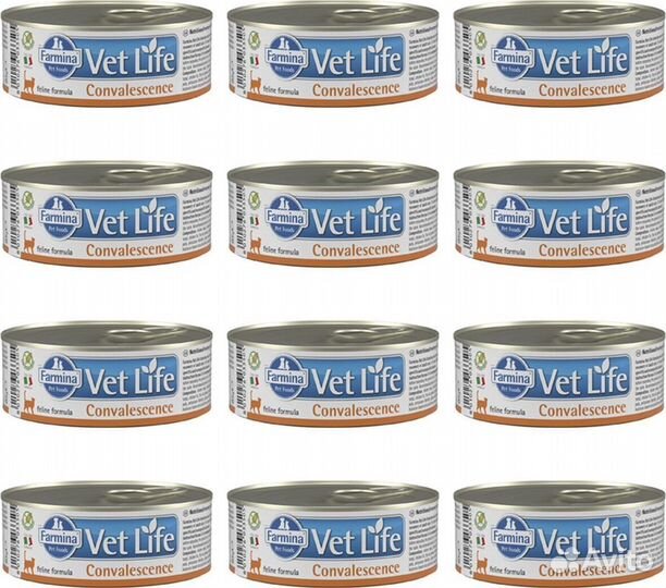 Farmina Vet Life Convalescence