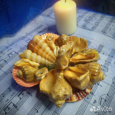 Композиция из ракушек.Сувенир. Украшение для дома