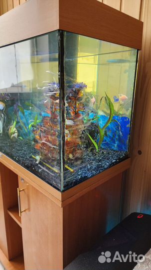 Продам аквариум Juwel 140 в полной комплектации