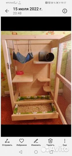 Витрина для шиншилл