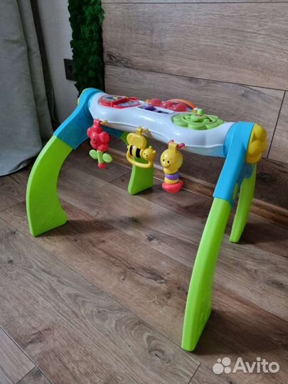 Развивающий центр Baby Go