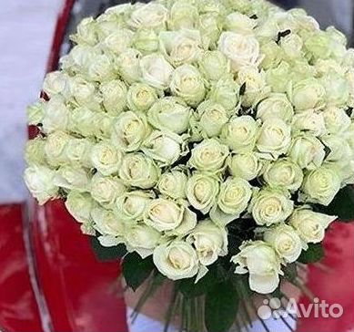 Высокие розы Гигантские розы Доставка цветов