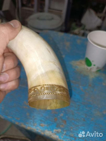 Рог быка