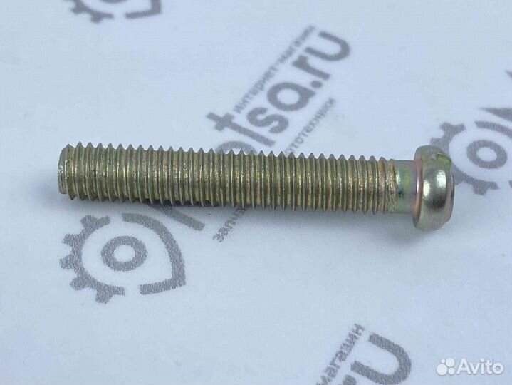 Винт М6х35 крышки картера короткий