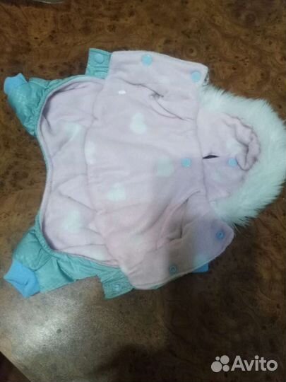 Одежда для маленьких собак