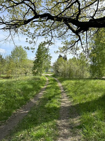 Участок 4 сот. (ИЖС)