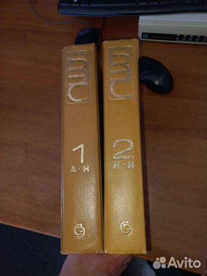 Большой энциклопедический словарь (2 тома), 1991 г