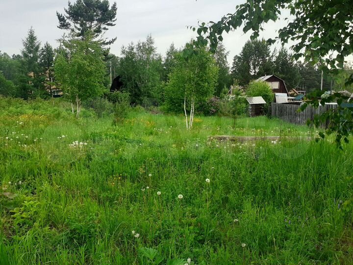 Участок 6 сот. (СНТ, ДНП)