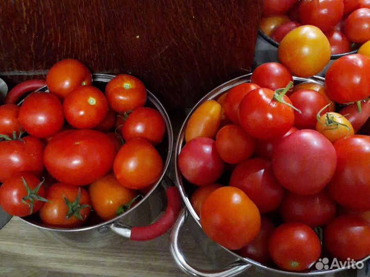 Помидоры