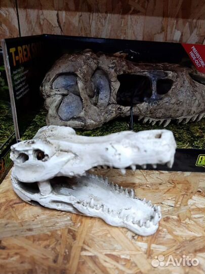 Декорации для террариума и рептилий