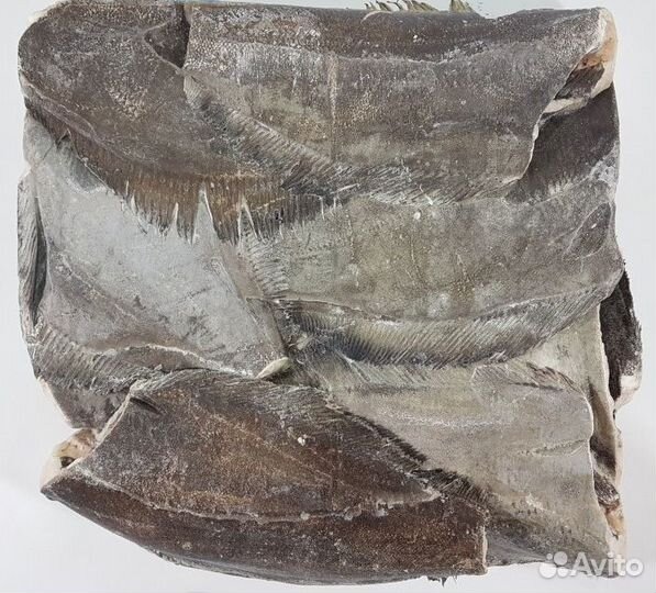 Палтус тушка 2-3кг. свежемороженый 25кг