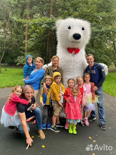 Белый мишка на поздравление