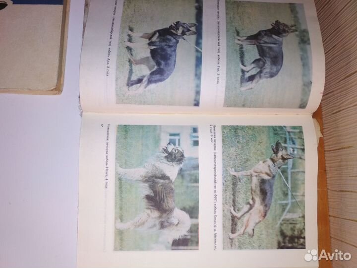 Книги по собаководству