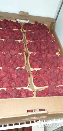 Малина сладкая вкусная спелая крупная отборная