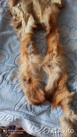Продам шкурку лисы