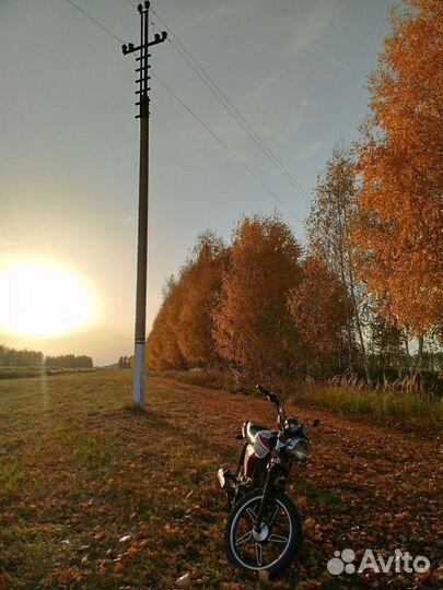 Альфа Rx венто