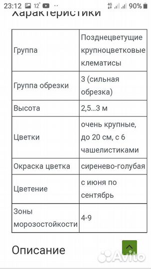 Клематис Вистула