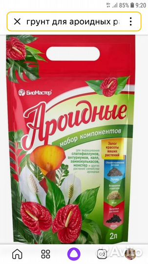 Продам Молодой Замиукулькас