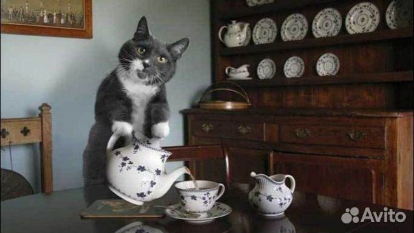 Чашки и кружки