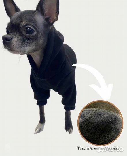 Одежда для собак кошек тостовка