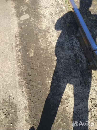 Продам кошку