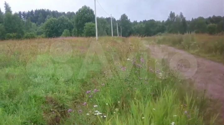 Участок 24,5 сот. (СНТ, ДНП)