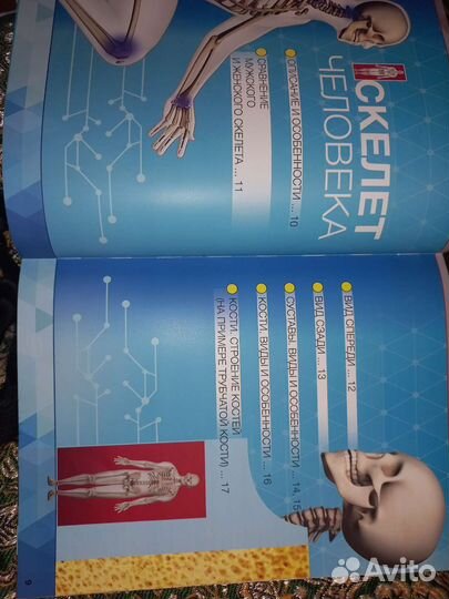 Анатомия в дополненой реальности